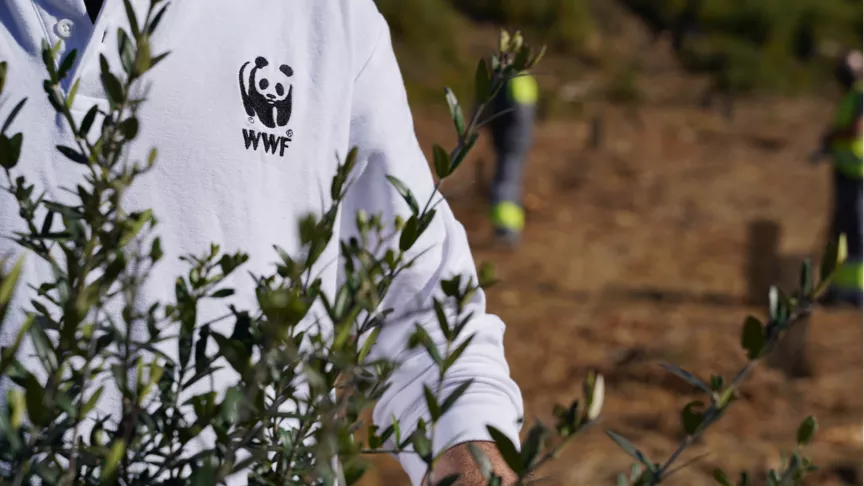 Ihre Unternehmensspende hilft. Gemeinsam mit dem WWF für einen lebendigen Planeten